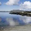 bladderwrack beach